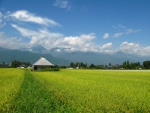Mt. Jonen and Rice Fields in Summer